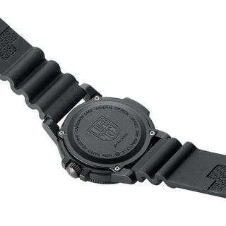 Sea Bass Carbonox 2000 Series