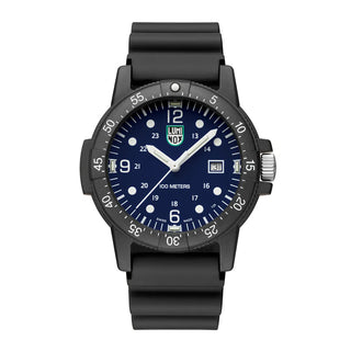 Sea Bass Carbonox 2000 Series