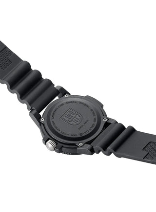 Sea Bass Carbonox 2000 Series