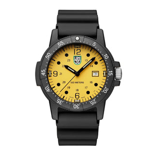 Sea Bass Carbonox 2000 Series