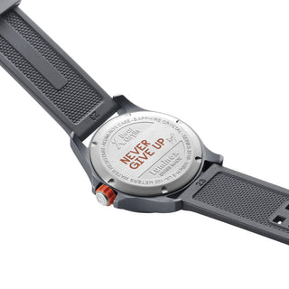 Bear Grylls Survival Land 3710 Series