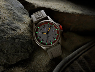 Bear Grylls Survival Land 3710 Series