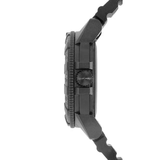 Leatherback Sea Turtle 300 Series