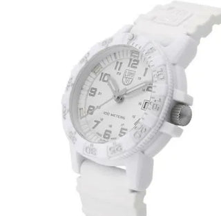 Leatherback Sea Turtle 300 Series