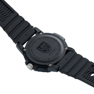 Leatherback SEA Turtle Giant RED BULL AMPOL EDITION