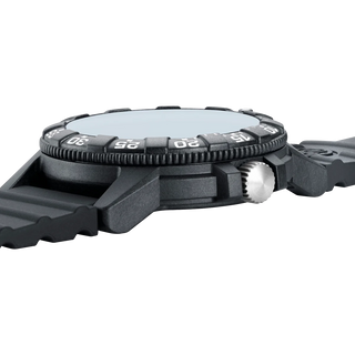Leatherback SEA Turtle Giant RED BULL AMPOL EDITION