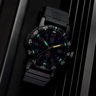 Leatherback SEA Turtle Giant RED BULL AMPOL EDITION