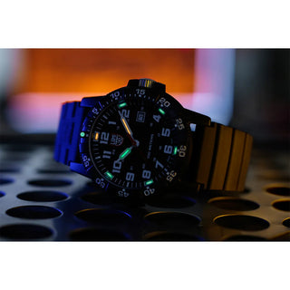 Leatherback Sea Turtle Giant 320 Series