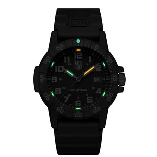 Leatherback Sea Turtle Giant 320 Series