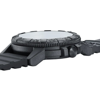 Leatherback Sea Turtle 0320 Series