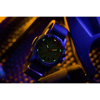 Leatherback Sea Turtle Giant 320 Series
