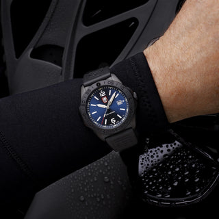 Pacific Diver Black Steel 3120 Series